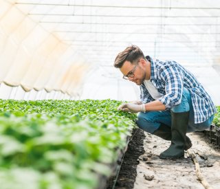 Nouvel accord horticulture et pépinières