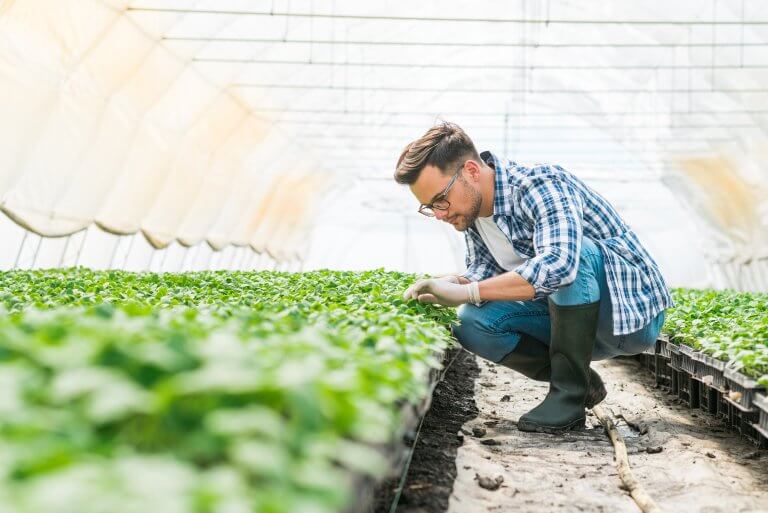 Nouvel accord horticulture et pépinières