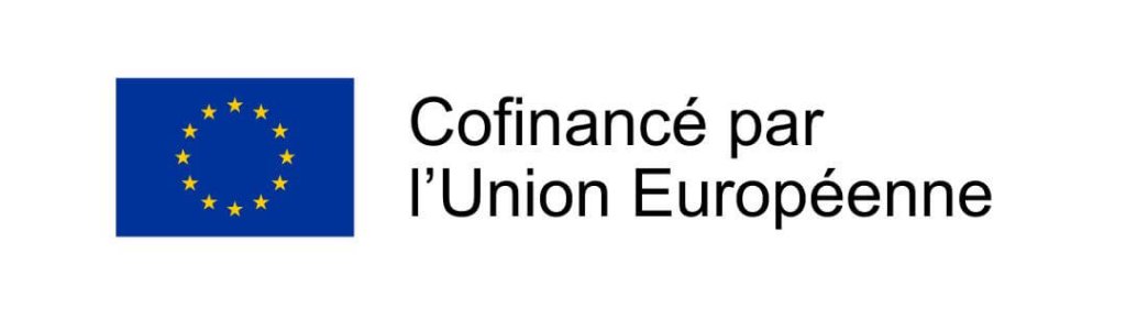 Formations IA cofinancement FSE 1 e1762265113244